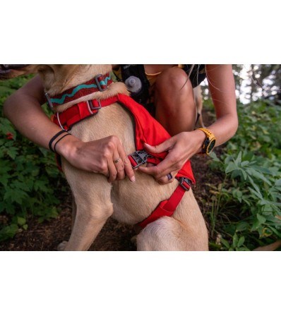 Нагръдник Ruffwear Switchbak Harness