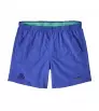 Шорти Patagonia Baggies 5