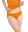 Бикини Icebreaker Merino 150 Siren Hipkini Winter 2025